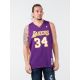 2. Koszulka Mitchell & Ness Los Angeles Lakers NBA Swingman Jersey Lakers 99-00 Shaquille O`Neal SMJYGS18447-LALPURP99SON