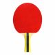 15. Rakietka do ping ponga Cornilleau Sport 434000