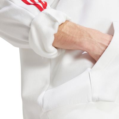 12. Bluza adidas House of Tiro Nations Pack M IY4528