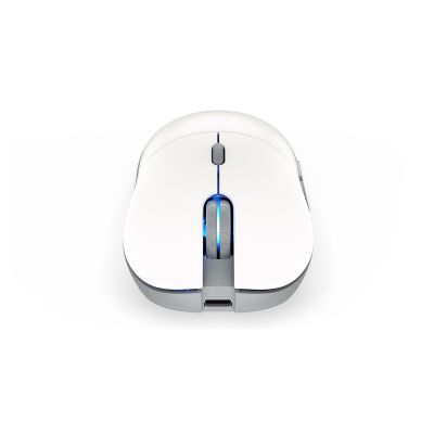 11. Mysz ENDORFY GEM Plus Wireless Onyx White