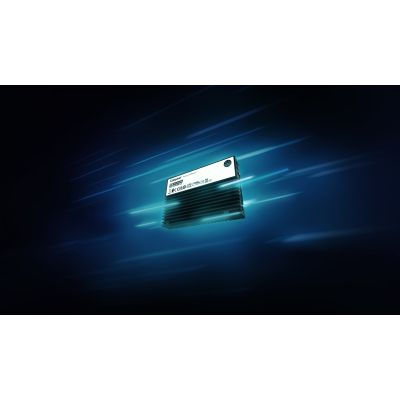 8. Dysk SSD Kingston DC3000ME 3.84TB U.2 (15mm) NVMe PCIe 5.0 SEDC3000ME/3T8 (DWPD 1) TCG