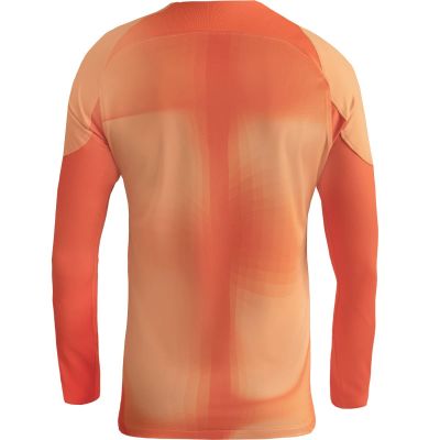 3. Koszulka bramkarska Nike Gardien IV Goalkeeper JSY M DH7967 819