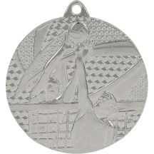 medal srebrny- siatkówka