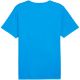 3. Koszulka Puma teamRISE Matchday Jersey M 706132 02