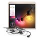 4. Philips Hue White and color ambiance Hue Festavia girlanda ogrodowa 7 m