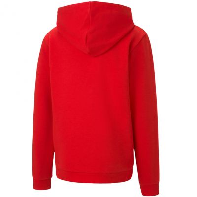 2. Bluza Puma teamGOAL 23 Casuals Hoody Jr 656711 01