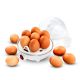 19. Jajowar elektryczna Esperanza EGG MASTER EKE001