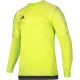 Bluza bramkarska adidas ENTRY 15 GK Junior AP0323