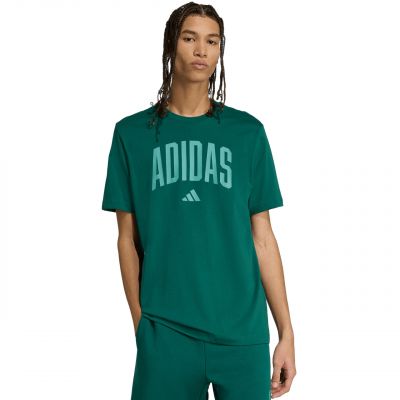 2. Koszulka adidas Collegiate Lineage Graphic M KA7135