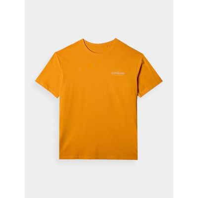 7. T-shirt oversize z nadrukiem męski 4F 4FRAW24TTSHM2578-70S