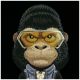 6. Etui Nimmy Cool&Cute 2.0 Gorilla na iPhone 17 Pro Max - czarne
