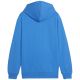 4. Bluza Puma Team Goal Casuals Hoddy Jr 658619 02