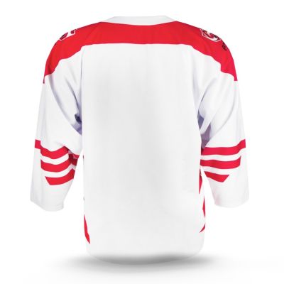 4. Replika bluzy Reprezentacji Polski Senior
