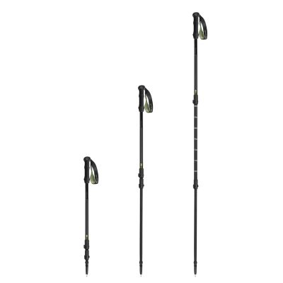 4. Kije trekkingowe Spokey Trail SPK-945416