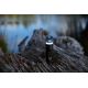 7. Aecooly CamperPack - Camping Pack - kempingowy zestaw wielofunkcyjny