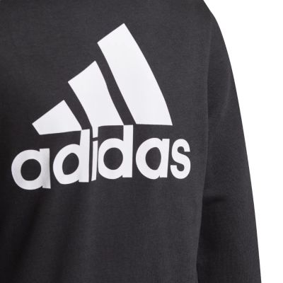 5. Bluza adidas Essentials Full-Zip Hoodie Jr GN4020