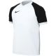 Koszulka dla dzieci Nike Dri-FIT Trophy VI biała HV8158 100