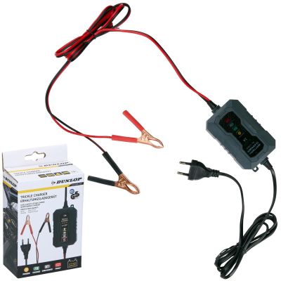 PROSTOWNIK DO AKUMULATORÓW DUNLOP  6/12V