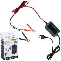 PROSTOWNIK DO AKUMULATORÓW DUNLOP  6/12V