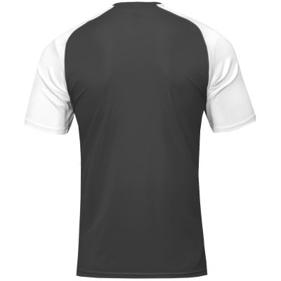 Koszulka piłkarska Joma Academy IV Sleeve 101968.102