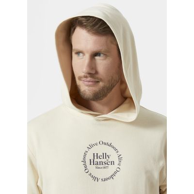 8. Bluza Helly Hansen Core Graphic Sweat Hoodie M 53924 034