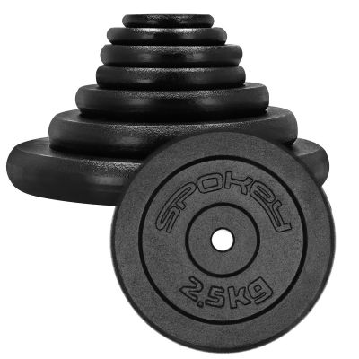 3. Obciążenie żeliwne 2,5kg Spokey Sinis SPK-944483
