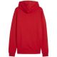 2. Bluza Puma Team Goal Casuals Hoody M 658618 01