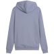 2. Bluza męska Puma ESS 2 Color Small No.1 Logo Hoodie szara 684719 65