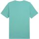 2. Koszulka Puma Ess 2 Color No.1 Logo M 684708 59