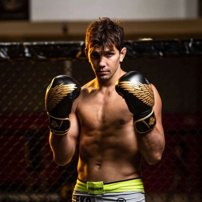 7. Rękawice bokserskie 8oz - Hawk - Origin Series