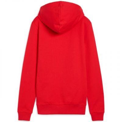 9. Bluza Puma Team Goal Casuals Hoody W 658621 01