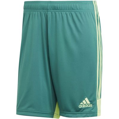6. Spodenki adidas M Tastigo 19 Shorts DP3251