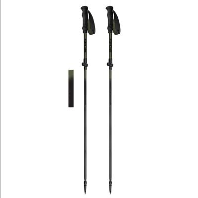 Kije trekkingowe Spokey Terra SPK-944825