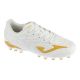 Joma Evolution Jr 2602 AG EVJS2602AG Białe 32