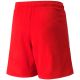 2. Spodenki Puma teamLIGA Jr 704931 01