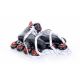 10. Rolki hokejowe Tempish Volt-R 1000004807