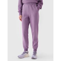 Spodnie dresowe joggery damskie 4F 4FRAW24TTROF1151-50S