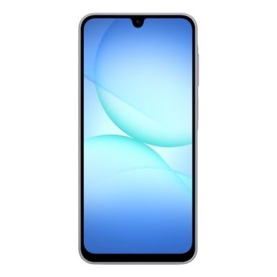 16. Samsung Galaxy A17 (A175) DS 8/256GB Grey