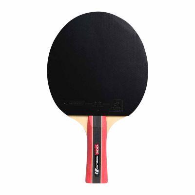 16. Rakietka do ping ponga Cornilleau Sport 433000