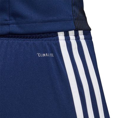 7. Spodenki adidas Tastigo 19 M DP3245