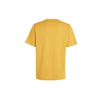 2. Koszulka O'Neill Future Surf Society T-Shirt M 92800613523