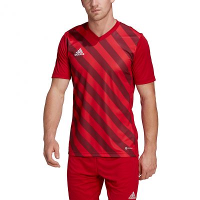 5. Koszulka adidas Entrada 22 Graphic Jersey M HB0572