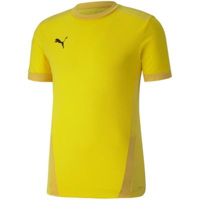 3. Koszulka Puma teamGOAL 23 Jersey M 704171 07