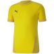 3. Koszulka Puma teamGOAL 23 Jersey M 704171 07