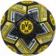 Piłka nożna Borussia Dortmund oficjalna licencjonowana 4004241