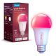 2. Govee Smart żarówka RGB 800LM, Wi-Fi + Bluetooth H6004CC1