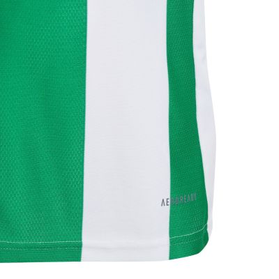 10. Koszulka adidas Striped 24 Jr IW2138