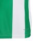 10. Koszulka adidas Striped 24 Jr IW2138