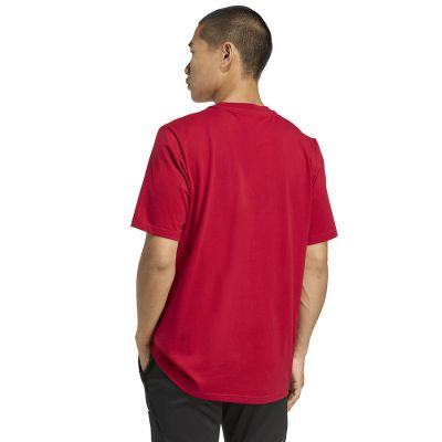 2. Koszulka adidas Liverpool FC Seasonal DNA Graphic Tee 2 JY3466